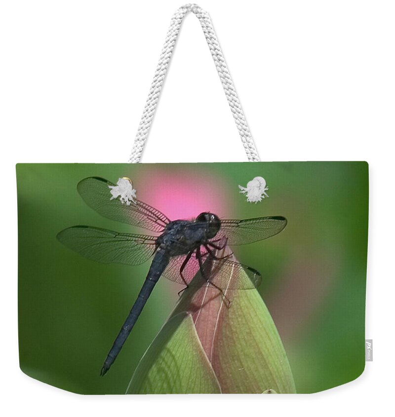 Lotus Weekender Tote Bag featuring the photograph Lotus Bud and Slaty Skimmer Dragonfly DL0006 by Gerry Gantt