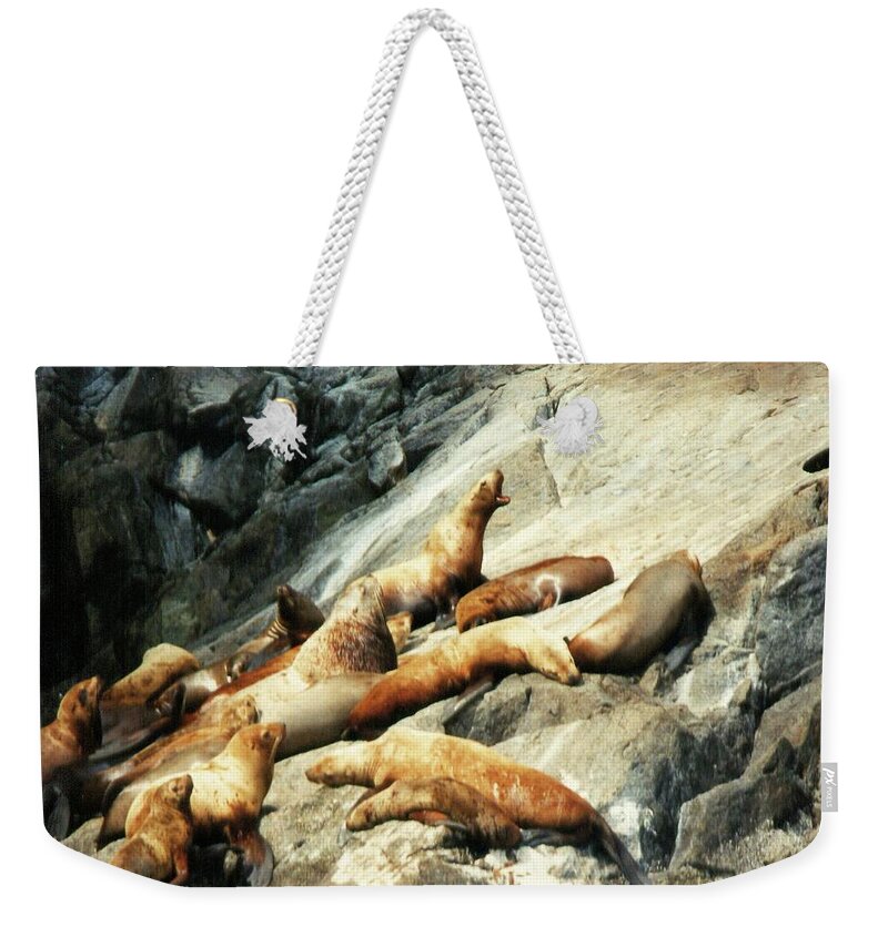 Travel Weekender Tote Bag featuring the photograph Lounging Around Alaska by Karen Stansberry