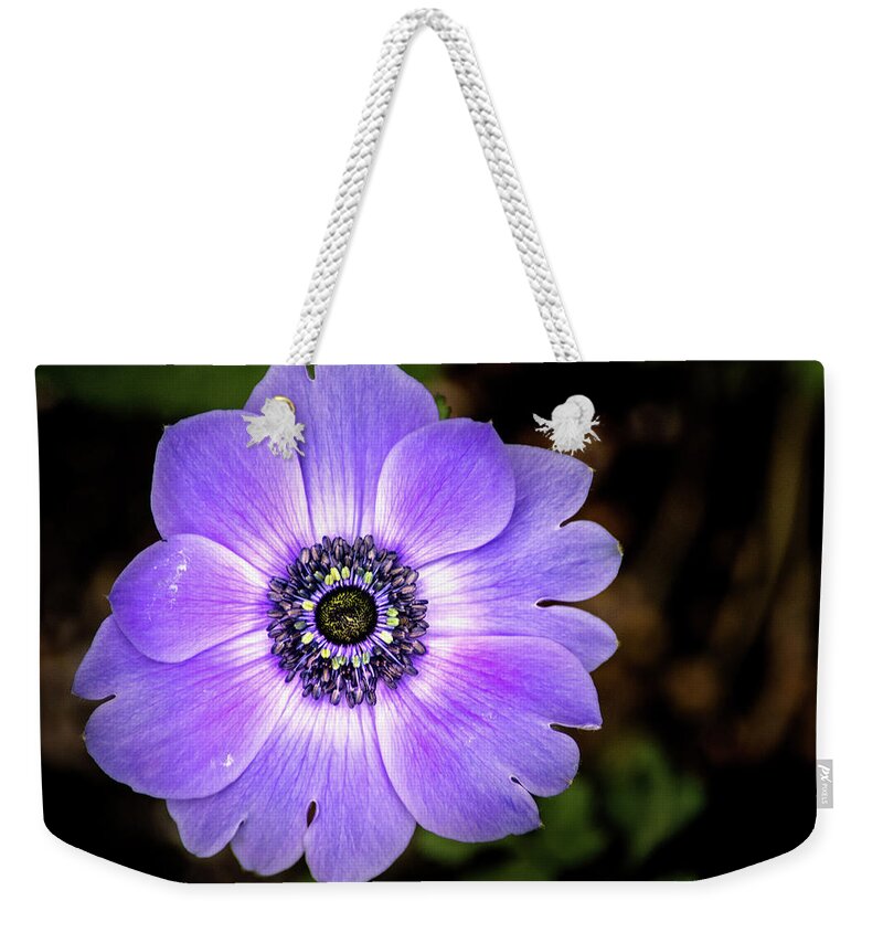 Flower Weekender Tote Bag featuring the photograph Lovely Anemone by Don Johnson