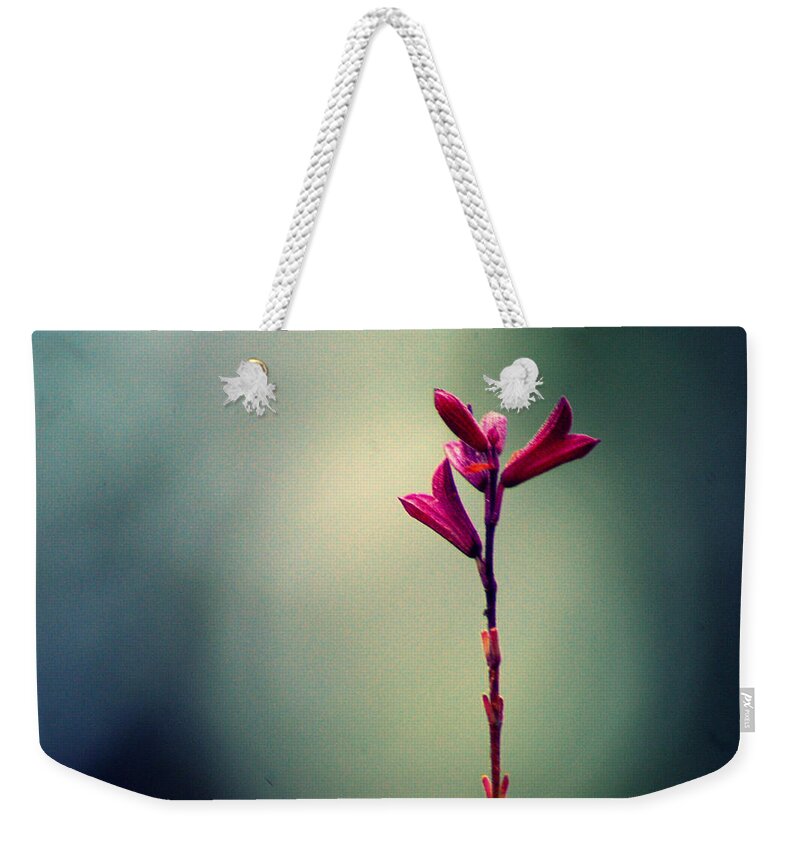 Purple Weekender Tote Bag featuring the photograph Macro Purple Flowers On A Grey Day by Meredith Winn Photography