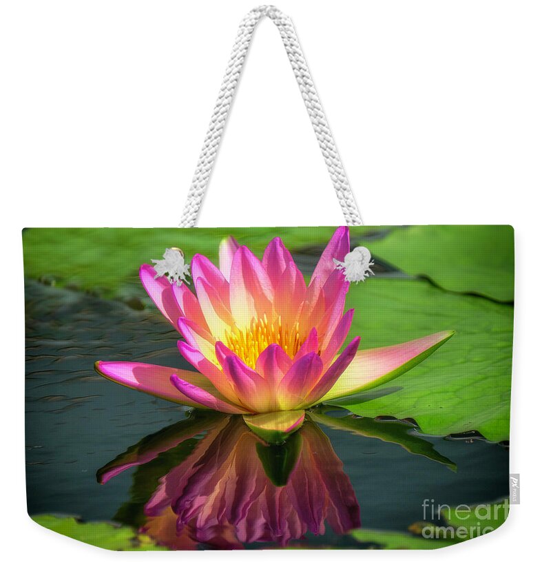 Aquatic Plant Weekender Tote Bag featuring the photograph Magenta Water Lily by Bill Frische