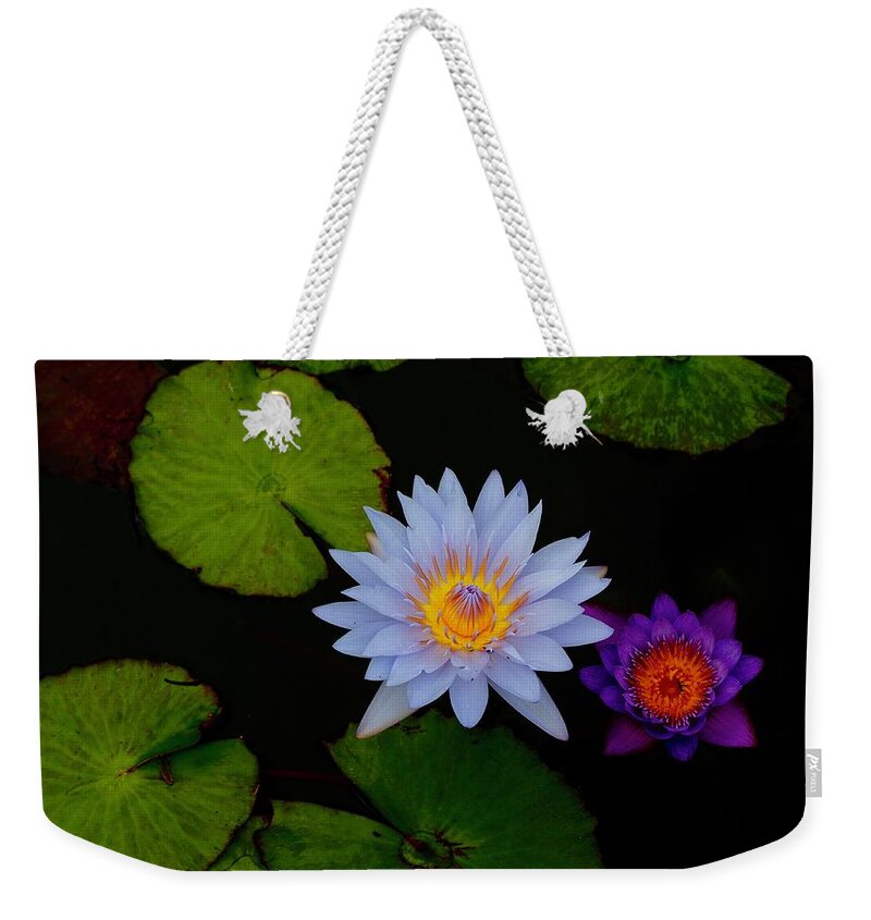 Waterlilies Weekender Tote Bag featuring the photograph Magic In A Pond by Alida M Haslett