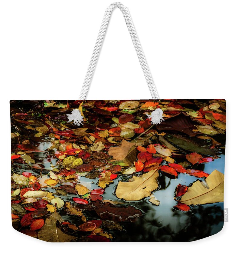 Tree Weekender Tote Bag featuring the photograph Magic of Autumn - 3 by Christopher Maxum