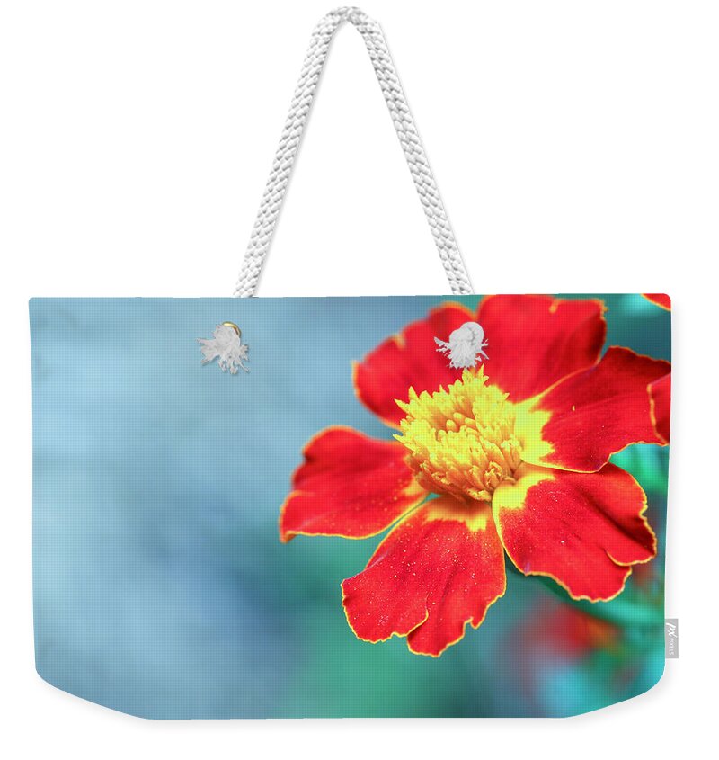 Marigold Weekender Tote Bag featuring the photograph Magical Marigold Bloom by Laura Smith