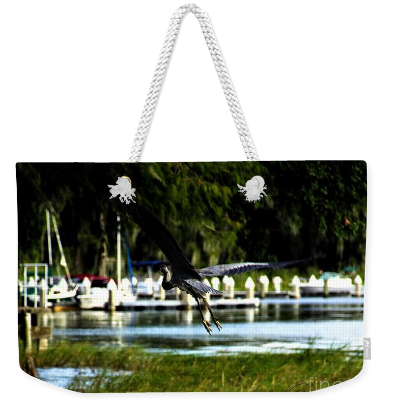 Wing Weekender Tote Bag featuring the photograph Magnificent Wing Span of a Great Blue Heron by Philip And Robbie Bracco