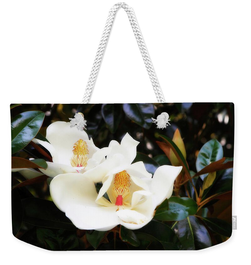 Photo Weekender Tote Bag featuring the photograph Magnolia Blossoms -2 by Alan Hausenflock