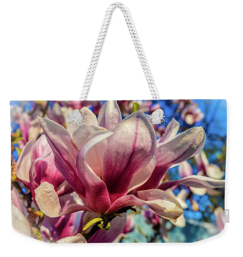 Flowers/plants Weekender Tote Bag featuring the photograph Magnolia flowers by Louis Dallara