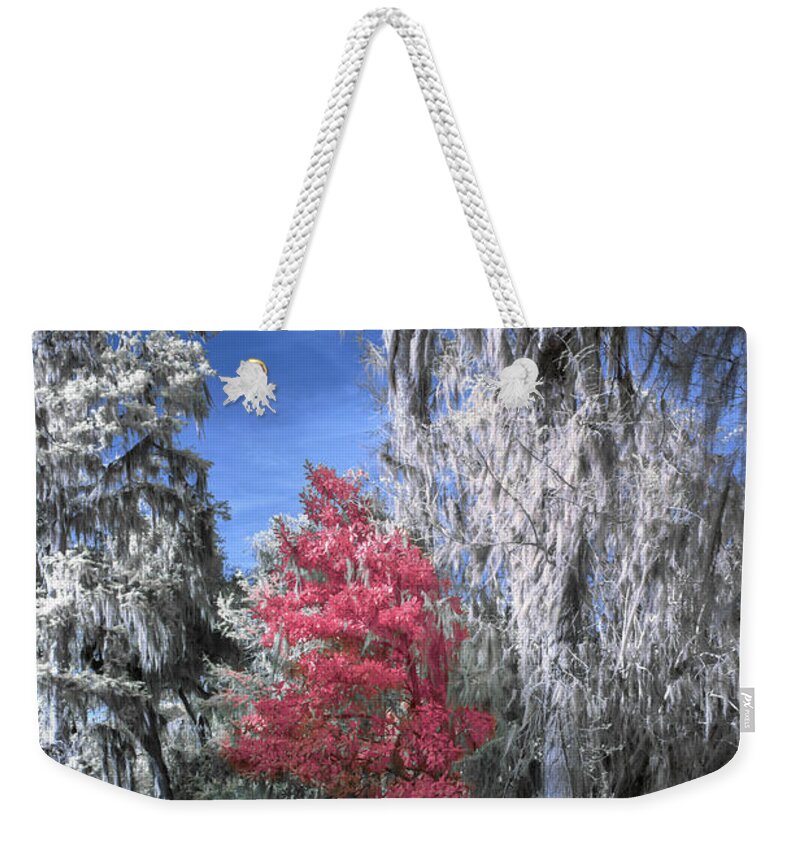 Garden Weekender Tote Bag featuring the photograph Magnolia Plantation in Red by Jon Glaser