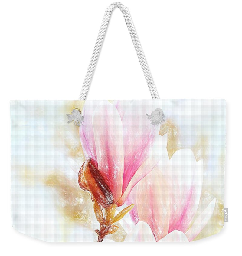 Magnolia Weekender Tote Bag featuring the pastel Magnolias are blooming again, it must be Spring by Chris Armytage