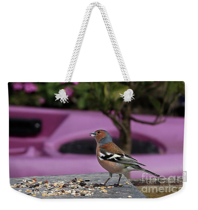 Chaffinch Weekender Tote Bag featuring the photograph Male Chaffinch by Terri Waters