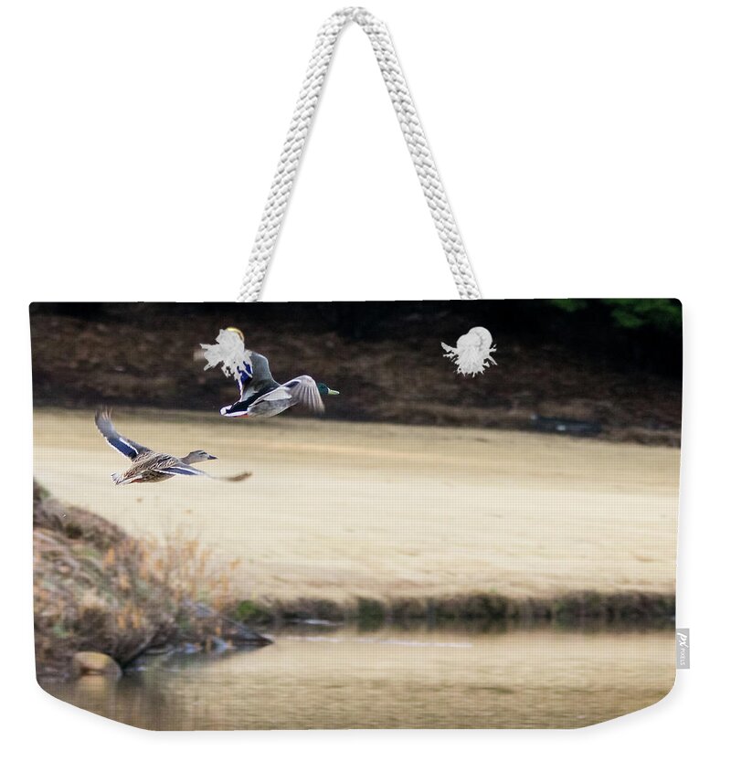 Duck Weekender Tote Bag featuring the photograph Mallard Flight by Mary Ann Artz