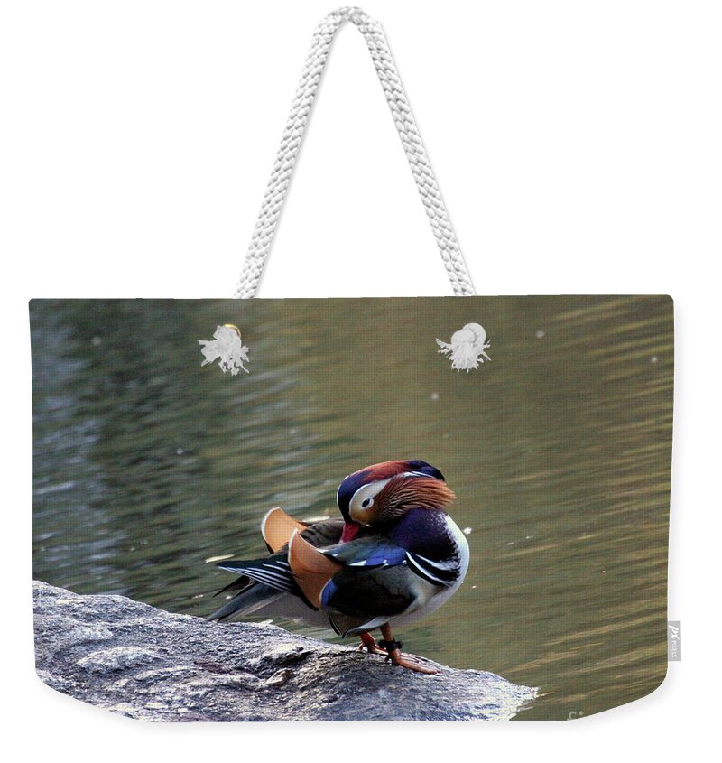 Mandarin Duck Weekender Tote Bag featuring the photograph Mandarin Duck 3 by Patricia Youngquist