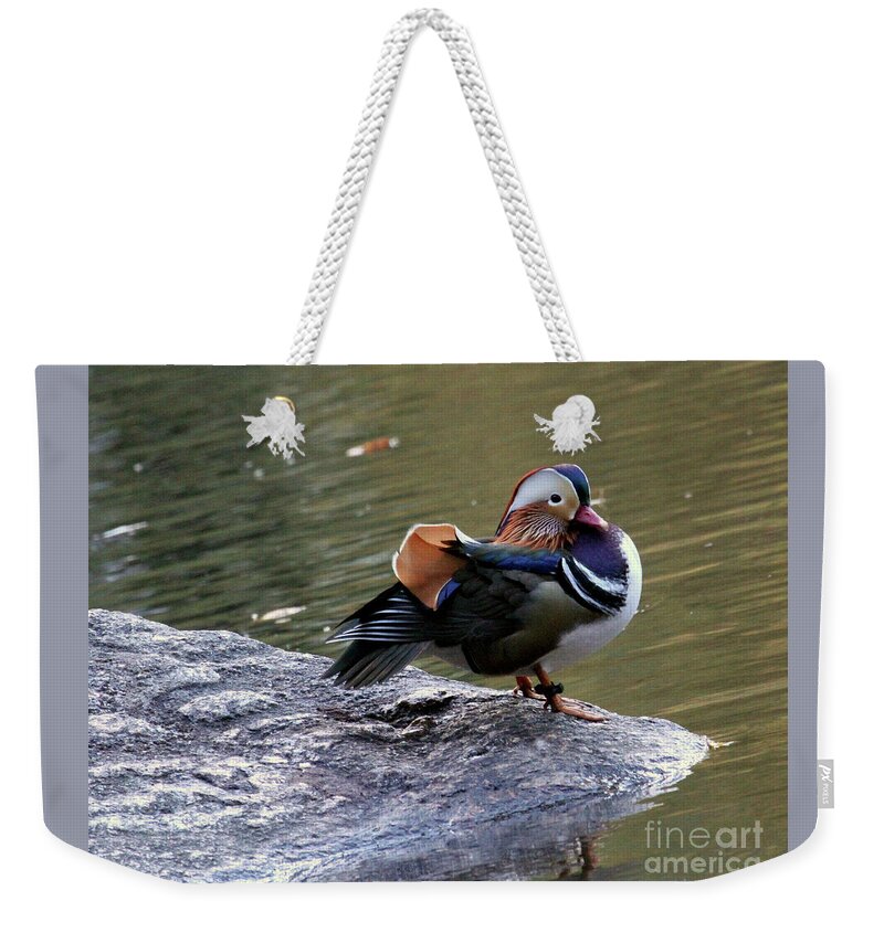 Mandarin Duck Weekender Tote Bag featuring the photograph Mandarin Duck 4 by Patricia Youngquist