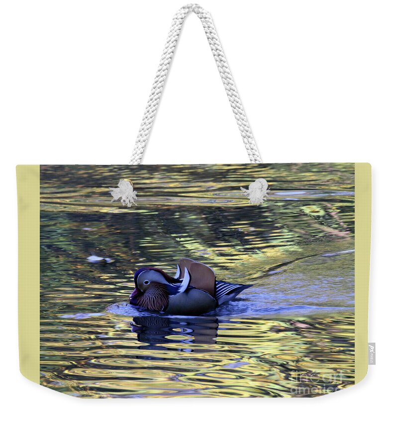 Mandarin Duck Weekender Tote Bag featuring the photograph Mandarin Duck 8 by Patricia Youngquist