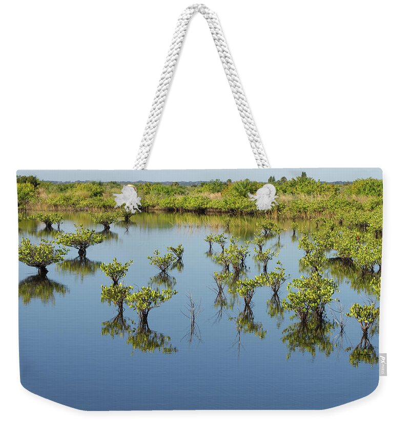 Mangrove Weekender Tote Bag featuring the photograph Mangrove Nursery by Paul Rebmann