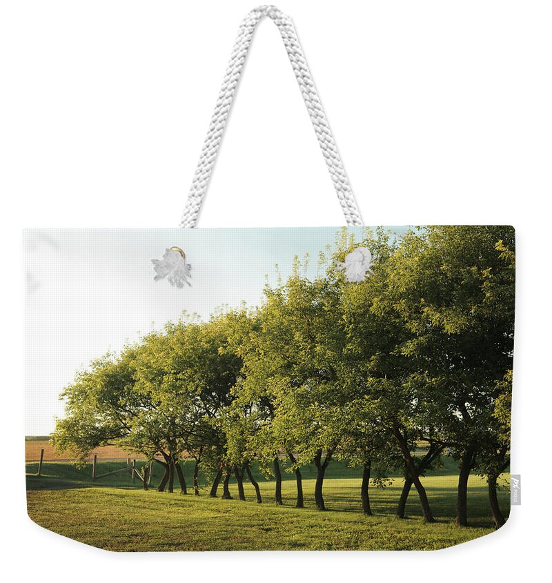 Scenics Weekender Tote Bag featuring the photograph Manitoba Farmland Orchard by Sisoje