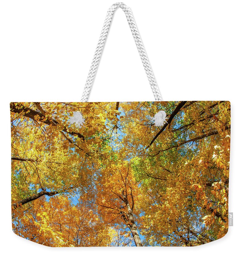 Canopy Weekender Tote Bag featuring the photograph Maple Canopy by Todd Klassy