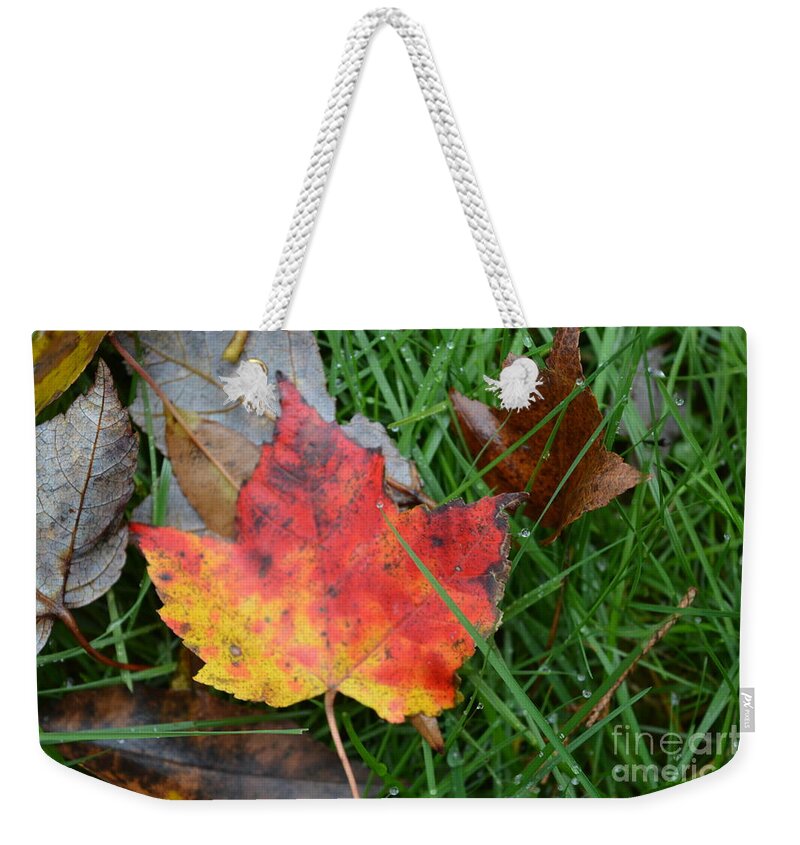 Autumn Weekender Tote Bag featuring the photograph Maple by Dani McEvoy