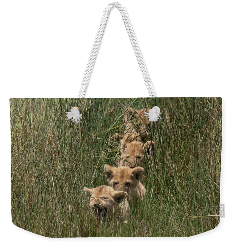 Africa Weekender Tote Bag featuring the photograph Follow the Leader by Patrick Nowotny