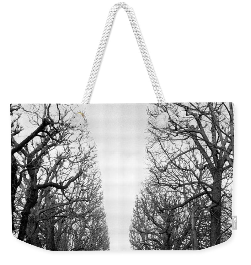 Scenics Weekender Tote Bag featuring the photograph Marco Polo Garden, Boulevard Saint by Walter Bibikow
