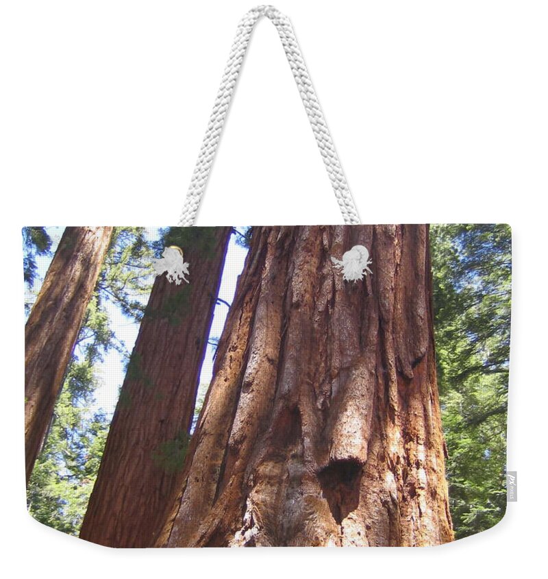 Yosemite Weekender Tote Bag featuring the photograph Mariposa Grove Giant Ancient Trees Yosemite National Park by John Shiron