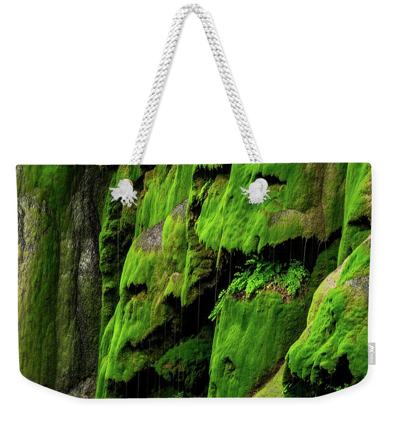 Texas Wildflowers Weekender Tote Bag featuring the photograph Mask Of Moss II by Johnny Boyd