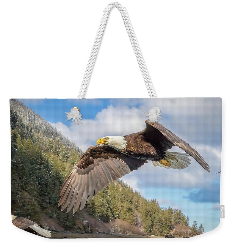 Alaska Weekender Tote Bag featuring the photograph Master of the Skies by James Capo