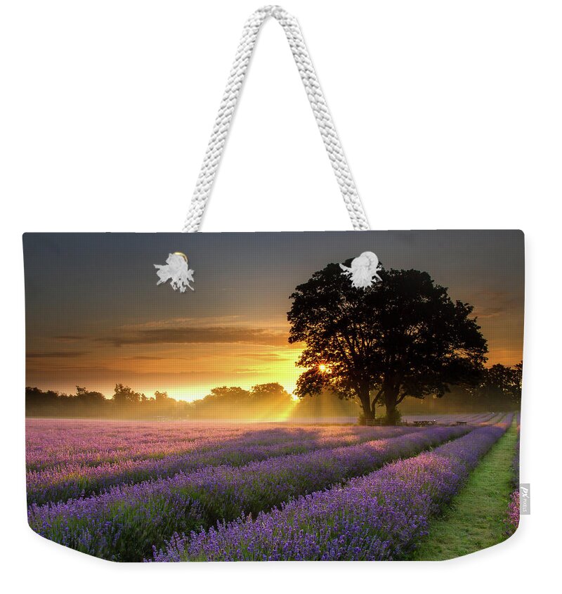 Tranquility Weekender Tote Bag featuring the photograph Mayfair Lavender At Sunrise by Getty Images