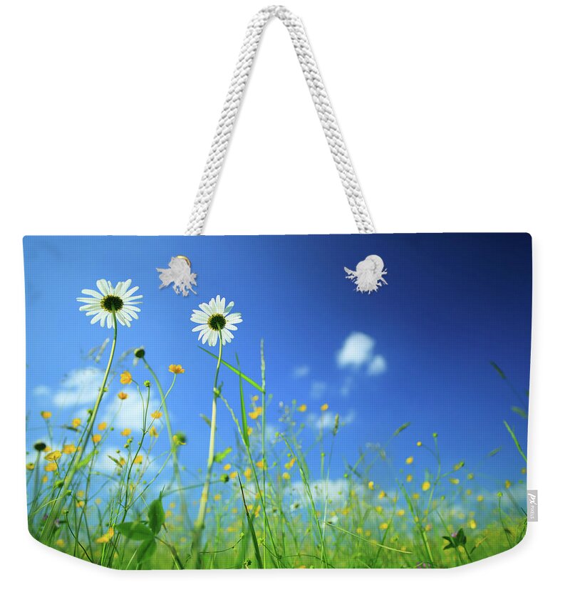 Grass Weekender Tote Bag featuring the photograph Meadow And Daisy Flowers by Konradlew