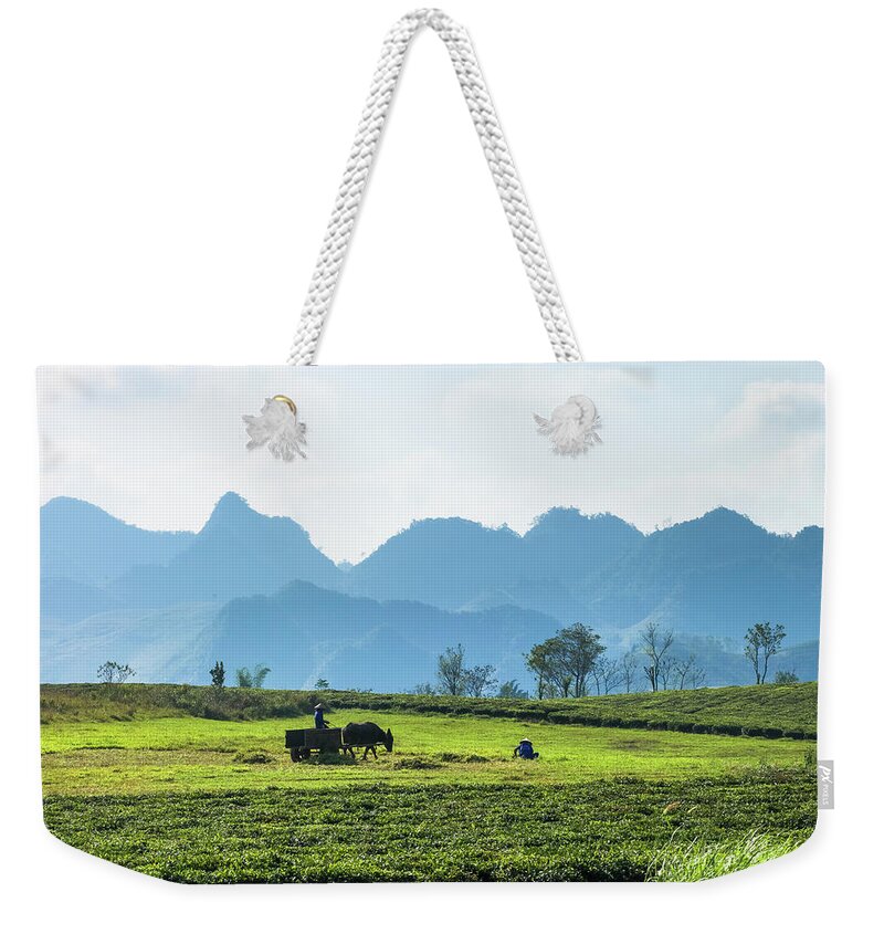 Grass Weekender Tote Bag featuring the photograph Meadow And Tea Plantations In Moc Chau by 117 Imagery