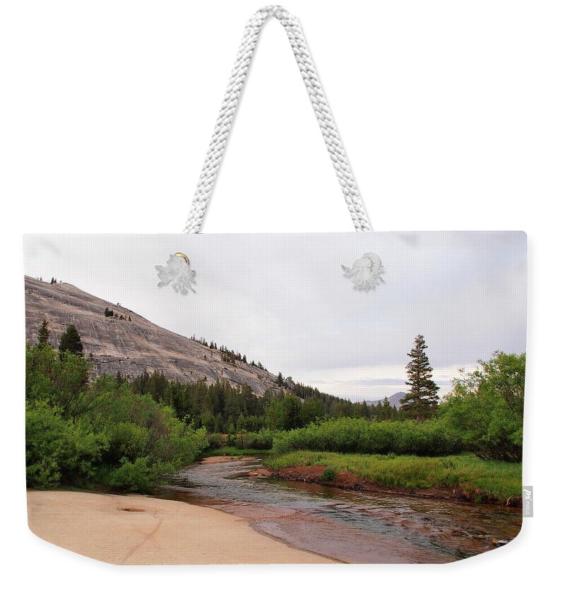 Tranquility Weekender Tote Bag featuring the photograph Meadow In Front Of Lembert Dome by Wirehead Arts