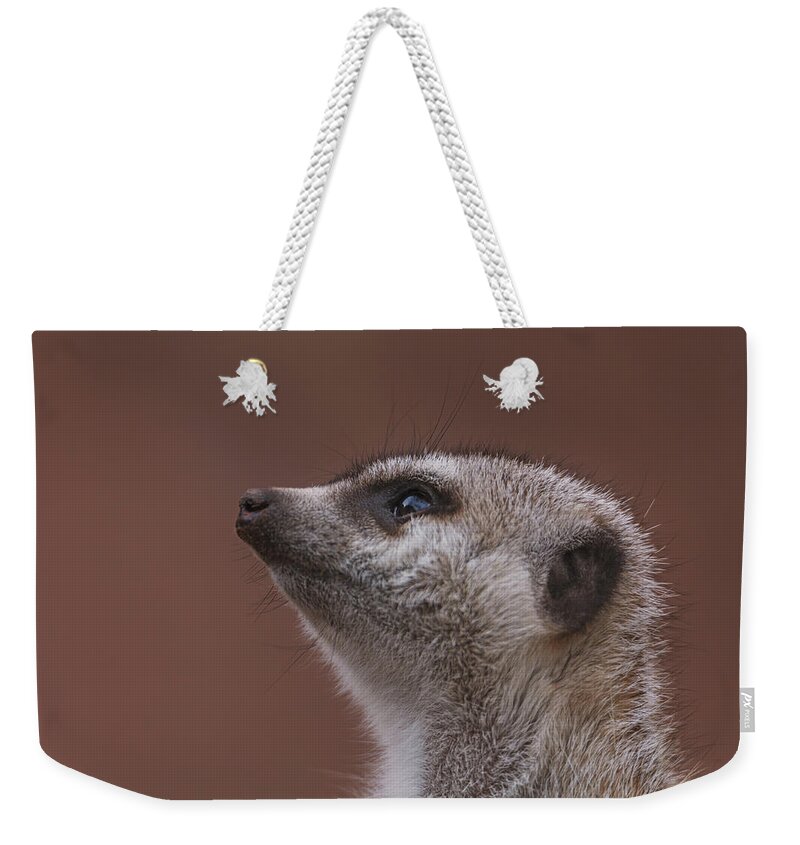 Meerkat Weekender Tote Bag featuring the photograph Meerkat by Brian Cross