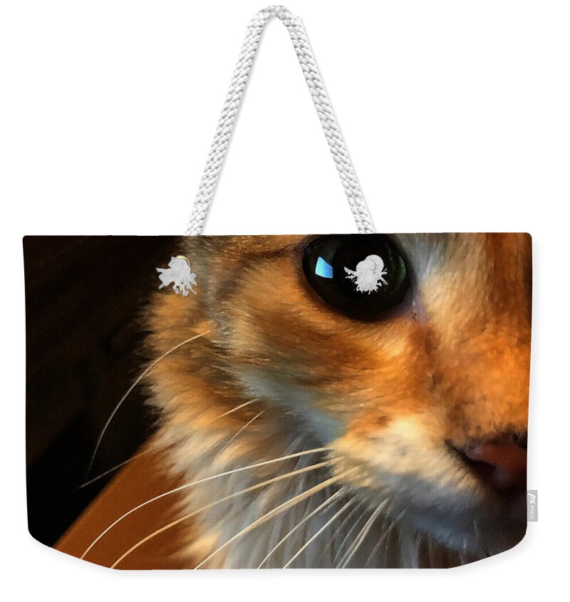 Art Weekender Tote Bag featuring the photograph Mercy by Jeff Iverson