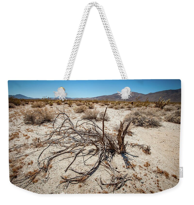 Anza-borrego Desert State Park Weekender Tote Bag featuring the photograph Mesquite in the Desert Sun by Mark Duehmig