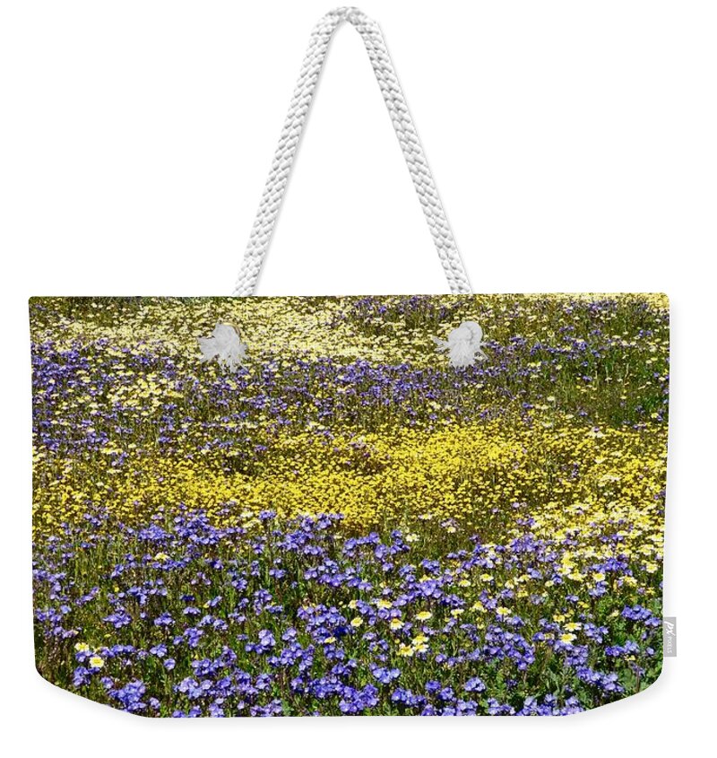 Carrizo Plain Weekender Tote Bag featuring the photograph Miles of Super Bloom by Amelia Racca