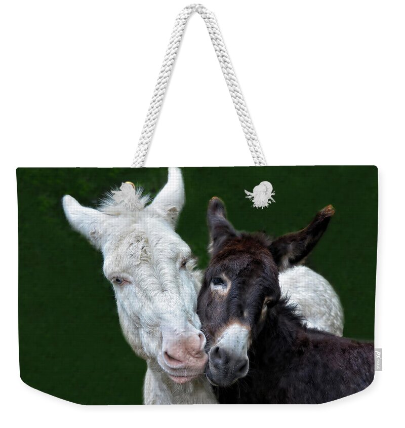 Equus Africanus Asinus Weekender Tote Bags