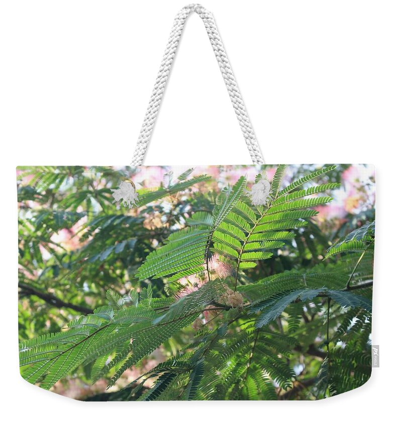 Mimosa Tree Weekender Tote Bag featuring the photograph Mimosa Tree Blooms and Fronds by Christopher Lotito