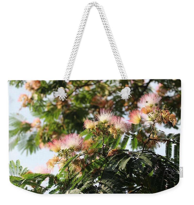 Mimosa Weekender Tote Bag featuring the photograph Mimosa Tree Flowers by Christopher Lotito