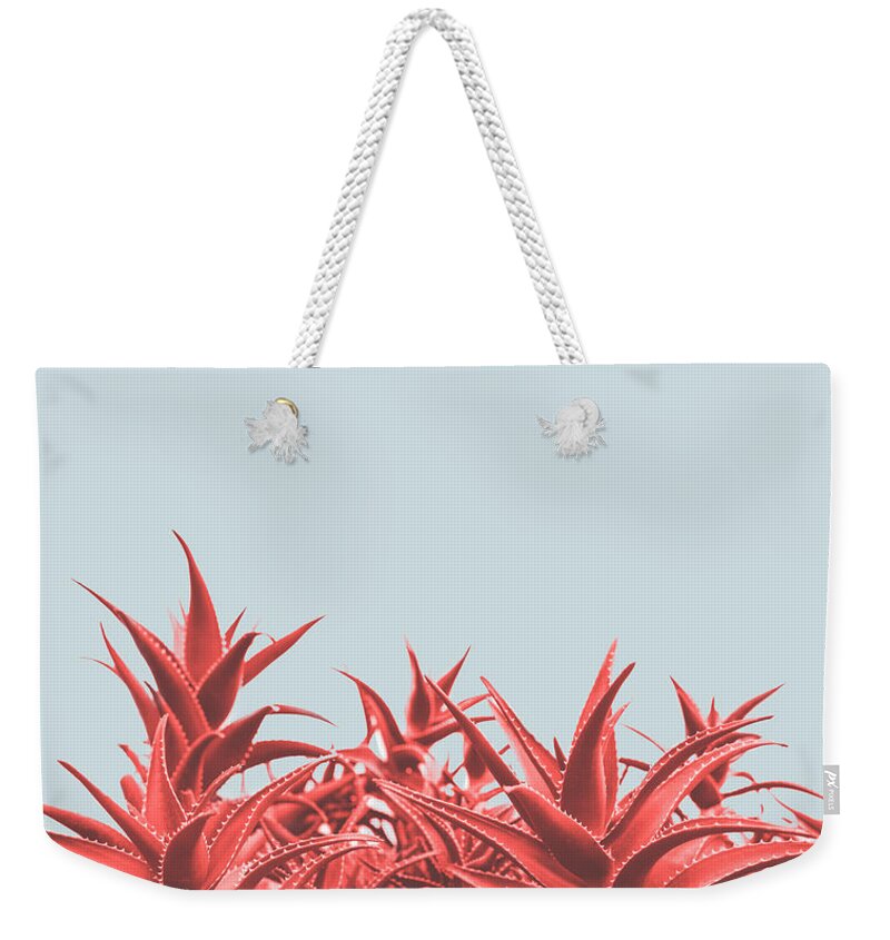 Aloe Weekender Tote Bag featuring the photograph Minimal contemporary creative design with aloe plant in coral co by Jelena Jovanovic