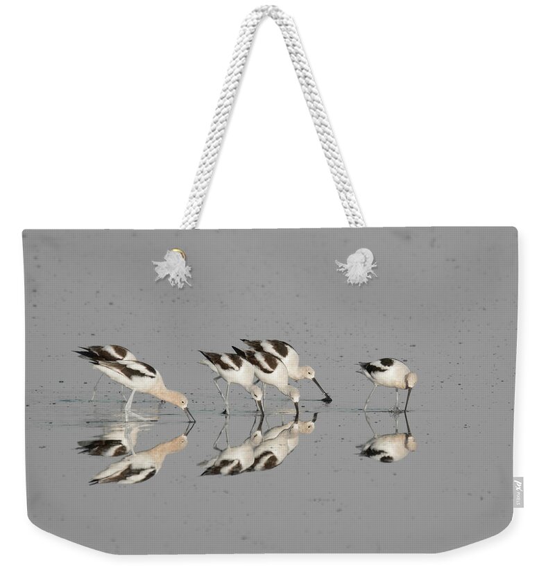Avocets Weekender Tote Bag featuring the photograph Mirror Image by Donald Brown