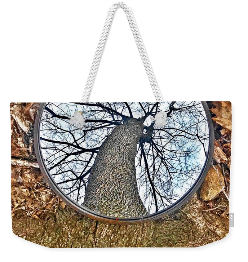  Weekender Tote Bag featuring the photograph Mirror by Lorella Schoales