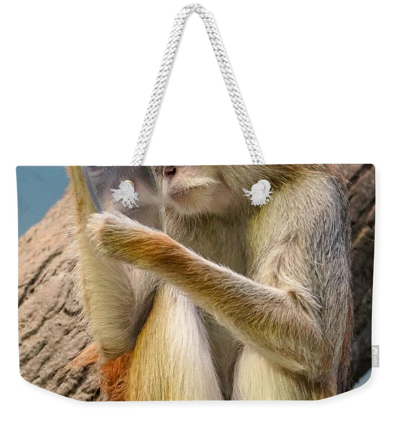 Monkey Weekender Tote Bag featuring the photograph Mirror Selfie by Susan Rydberg