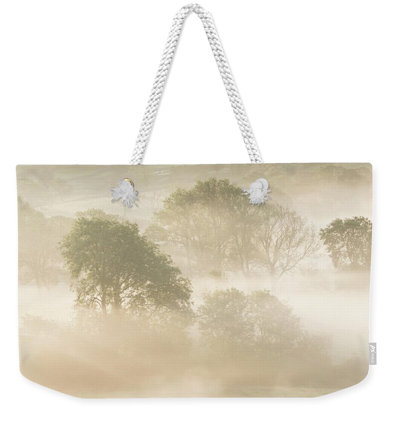 Mist Weekender Tote Bag featuring the photograph Mist in the Vale by Anita Nicholson