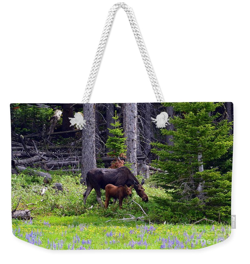 Moose Weekender Tote Bag featuring the photograph Mom and Baby by Dorrene BrownButterfield