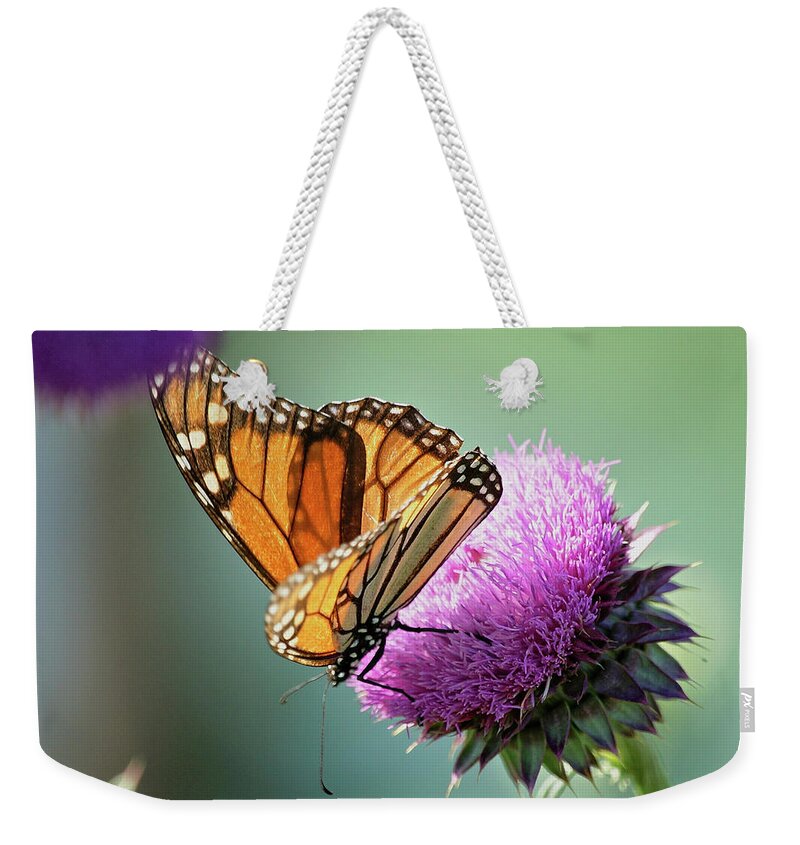 Betty Depee Weekender Tote Bag featuring the photograph Monarch and Thistle by Betty Depee