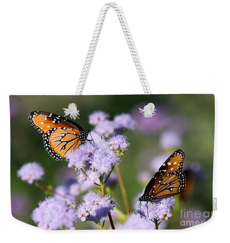 Butterfly Weekender Tote Bag featuring the photograph Monarch Delight by Lisa Manifold