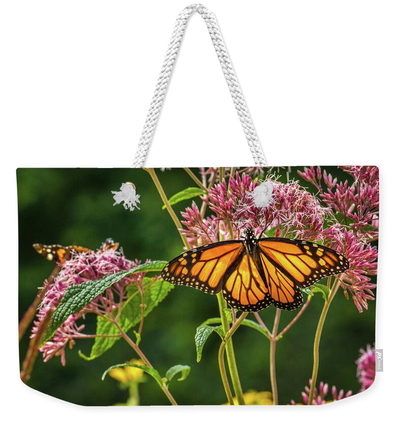 Bill Pevlor Weekender Tote Bag featuring the photograph Monarch Feasting by Bill Pevlor