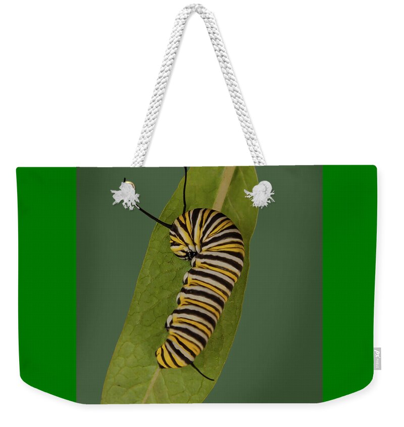 Monarch Weekender Tote Bag featuring the photograph Monarch by Larry Linton