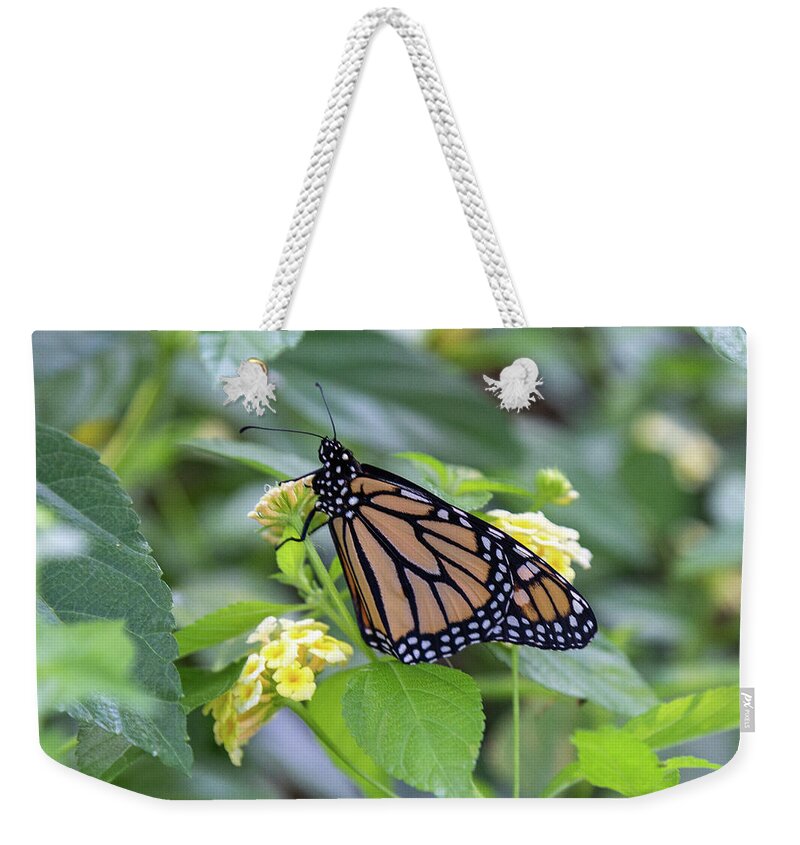 Monarch Weekender Tote Bag featuring the photograph Monarch Moment by Patricia Schaefer