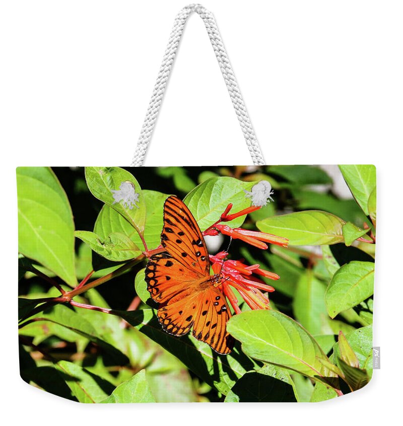 Butterfly Weekender Tote Bag featuring the photograph Monarch by Rick Redman